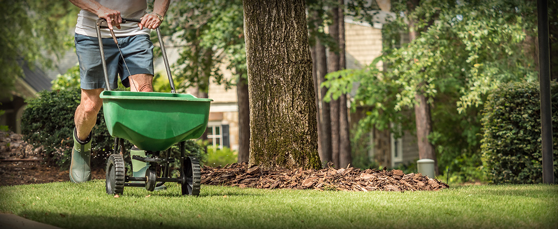 napalitano-personalize-lawn
